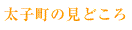 ���q���̌��ǂ���